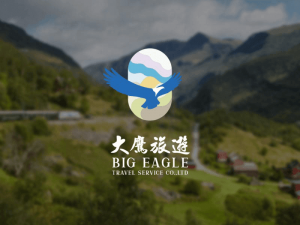 大鷹旅遊,大鷹旅行社,鴻鷹旅行社,平面設計,logo設計